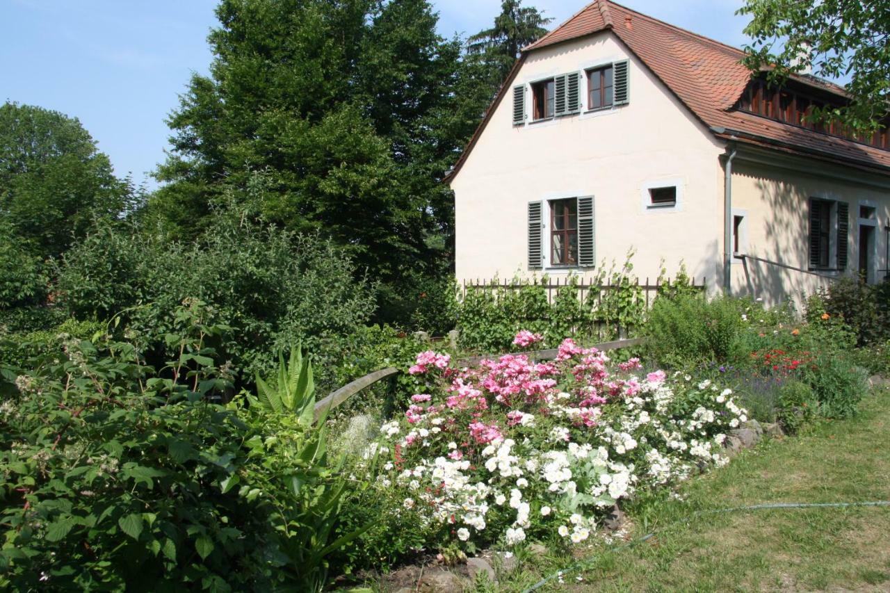 Poncet'sches Herrenhaus Appartement *